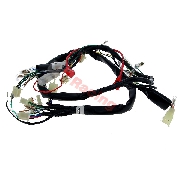 Kabelbaum 36610-17H02 fr Skymax 50 ccm 125 ccm (nach 10-2015)