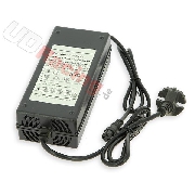Ladegert 36V 10-12Ah XLR-Stecker