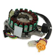 Zndstator komplett fr Quad Bashan 300 ccm (BS300S-18)