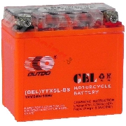Gel-Batterie fr Skooter Baotian BT49-QT-7 (113x70x110)