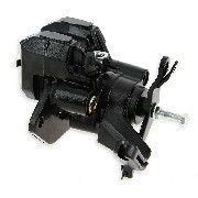 Bremssattel hinten fr Quad Bashan 200 ccm (BS200S-7)