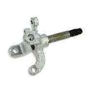 Achsschenkel links fr Quad Bashan 250 ccm (BS250-11)