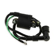 Zndspule dirt bike + Entstrer type 1