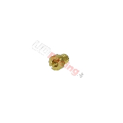 Dse fr Vergaser-Set (0,65 mm)