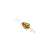 Dse fr Vergaser-Set (0,70 mm)