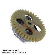 lpumpe fr Quad Shineray 200 ccm STIIE (163FML)