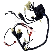 Kabelbaum fr Quad Shineray 200ccm STIIE-B