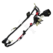 Kabelbaum fr Quad Shineray 200 ccm (XY200ST-6A)