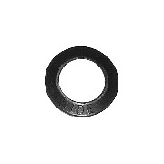 Erhaltungsscheibe magnetischen Filter fr Quads Shineray 200STIIE/B