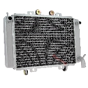 Khler Quad Shineray 250 ccm Racing ST-9C