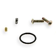 Stift fr Geschwindigkeitskontakt Quad Shineray 250 ccm STXE