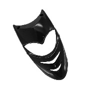 Frontverkleidung fr Quad Shineray 250 STXE - Alte Version