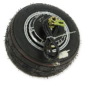 Rad hinten komplett fr  Mini Citycoco 1000w