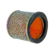 Luftfilter original fr Quad Shineray 350ST-2E