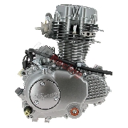 Motor CGP125 125ccm fr Skyteam ACE (ST156FMI)