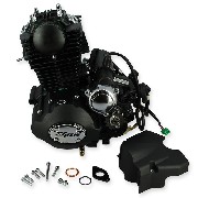 Motor 50ccm vertikal (139FMA) fr Skyteam ACE (Schwarz)