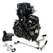 Motor CGP125 125ccm fr Skyteam ACE (ST156FMI) (Schwarz)