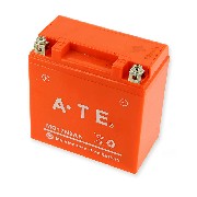 Batterie fr Quad Bashan 250 ccm (BS250AS-43)