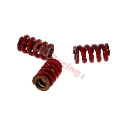 Kupplungsfedern (hart), rot, 3 Backen