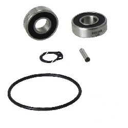 berholungsset der Wasserpumpeturbine pocket bike BZM, Teile Pocket Blata MT4
