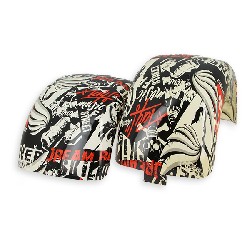 Schutzbleche f�r CityCoco - Urban (typ 2), Citycoco Ersatzteile