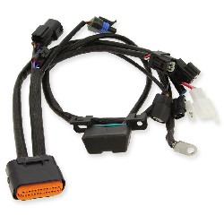 Verbindungskabel 1 fr Motorsteuereinheit fr Dax Skymax 50-125ccm EURO5, Teile Dax Skymax