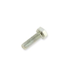 Schraube fr lseparator fr Kupplung fr Skyteam Motoren T-REX 125ccm, Teile Trex Skyteam