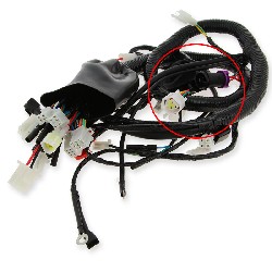 Kabelbaum f�r Quad Shineray 250 ccm STXE (type2), Ersatzteile Shineray 250 STXE