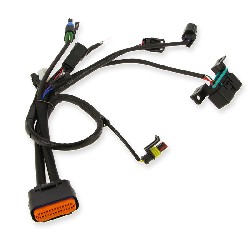 Verbindungskabel 1 f�r Motorsteuereinheit f�r Skyteam Skimini EURO5 - NEUE VERSION, Teile Skymini Monkey Gorilla