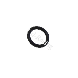 O-Ring lstandmesser fr Quad Shineray 250ccm ST-9E