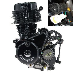 Motor für Quad Shineray 250 ccm STXE 167FMM (type2)