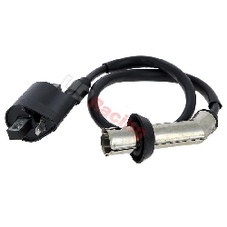 Z�ndspule Quad Shineray 250 ccm STXE, Ersatzteile Shineray 250 STXE