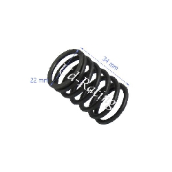 Ventilfedern f�r Motorroller Baotian BT49QT-7 (� : 22 mm), Ersatzteile Baotian BT49QT-7