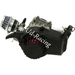 Motor Pocket-Supermot BLACK EDITION 49 ccm - Typ 3, Teile Pockets Supermoto